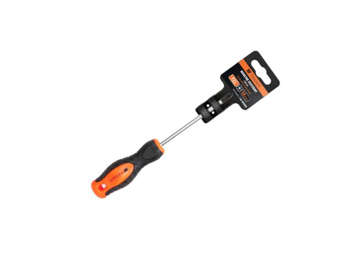 Križni odvijač PZ 1x100mm /TEGER